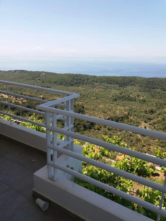 Filip Guest house *